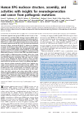 Cover page: Human XPG nuclease structure, assembly, and activities with insights for neurodegeneration and cancer from pathogenic mutations