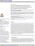 Cover page: The viral packaging motor potentiates Kaposi’s sarcoma-associated herpesvirus gene expression late in infection