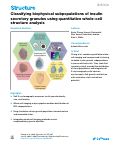 Cover page of Classifying biophysical subpopulations of insulin secretory granules using quantitative whole-cell structure analysis