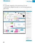 Cover page: A complex interplay of evolutionary forces continues to shape ancient co-occurring symbiont genomes