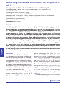 Cover page: Ancient Origin and Recent Innovations of RNA Polymerase IV and V