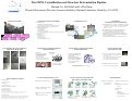 Cover page: The LBNL Crystallization and Structure Determination Pipeline