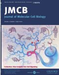 Cover page: Identification and characterization of an ancient class of small RNAs enriched in serum associating with active infection