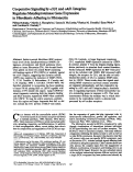 Cover page: Cooperative signaling by alpha 5 beta 1 and alpha 4 beta 1 integrins regulates metalloproteinase gene expression in fibroblasts adhering to fibronectin.