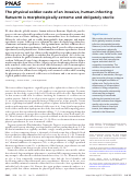 Cover page: The physical soldier caste of an invasive, human-infecting flatworm is morphologically extreme and obligately sterile.