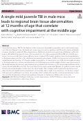 Cover page: A single mild juvenile TBI in male mice leads to regional brain tissue abnormalities at 12 months of age that correlate with cognitive impairment at the middle age