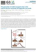 Cover page: The generation of stable transgenic lines in the human-infective nematode Strongyloides stercoralis.