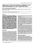 Cover page: Adjacent pol II and pol III promoters: transcription of the yeast retrotransposon Ty3 and a target tRNA gene