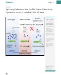 Cover page: Splicing Defects of the Profilin Gene Alter Actin Dynamics in an S. pombe SMN Mutant