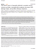 Cover page: The DACH1 gene is frequently deleted in prostate cancer, restrains prostatic intraepithelial neoplasia, decreases DNA damage repair, and predicts therapy responses.