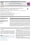 Cover page: Molecular physiology of contrast enhancement in glioblastomas: An analysis of The Cancer Imaging Archive (TCIA)