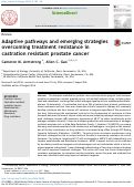 Cover page: Adaptive pathways and emerging strategies overcoming treatment resistance in castration resistant prostate cancer.