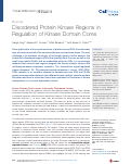 Cover page: Disordered Protein Kinase Regions in Regulation of Kinase Domain Cores.
