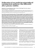 Cover page: Delineation of two multi-invasion-induced rearrangement pathways that differently affect genome stability