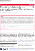 Cover page: Molecular and cellular mechanisms underlying the evolution of form and function in the amniote jaw