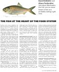 Cover page: The Fish at the Heart of the Food System