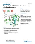 Cover page: Repurposing the GNAT Fold in the Initiation of Polyketide Biosynthesis
