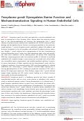 Cover page: Toxoplasma gondii Dysregulates Barrier Function and Mechanotransduction Signaling in Human Endothelial Cells