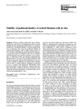 Cover page: Stability of positional identity of axolotl blastema cells in vitro