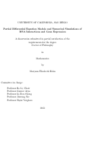 Cover page: Partial Differential Equation Models and Numerical Simulations of RNA Interactions and Gene Expression /