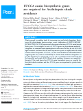 Cover page: YUCCA auxin biosynthetic genes are required for Arabidopsis shade avoidance