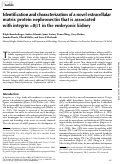 Cover page: Identification and characterization of a novel extracellular matrix protein nephronectin that is associated with integrin α8β1 in the embryonic kidney