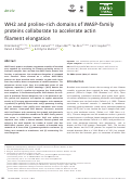 Cover page: WH2 and proline‐rich domains of WASP‐family proteins collaborate to accelerate actin filament elongation