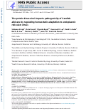 Cover page: The protein kinase Ire1 impacts pathogenicity of Candida albicans by regulating homeostatic adaptation to endoplasmic reticulum stress