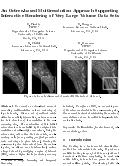 Cover page: An octree-based multiresolution approach supporting interactive rendering of very large volume data sets