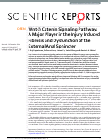 Cover page: Wnt-β Catenin Signaling Pathway: A Major Player in the Injury Induced Fibrosis and Dysfunction of the External Anal Sphincter