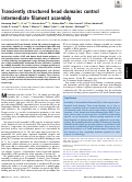 Cover page: Transiently structured head domains control intermediate filament assembly