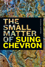 Cover page of The Small Matter of Suing Chevron