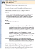 Cover page: Molecular mechanisms of external genitalia development