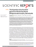 Cover page: The bipartite mitochondrial genome of Ruizia karukerae (Rhigonematomorpha, Nematoda)