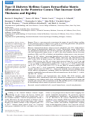 Cover page: Type II Diabetes Mellitus Causes Extracellular Matrix Alterations in the Posterior Cornea That Increase Graft Thickness and Rigidity.