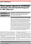 Cover page: Parkin regulates adiposity by coordinating mitophagy with mitochondrial biogenesis in white adipocytes