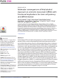 Cover page: Molecular consequences of fetal alcohol exposure on amniotic exosomal miRNAs with functional implications for stem cell potency and differentiation