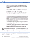 Cover page: Somatic mosaicism in the MAPK pathway in sporadic brain arteriovenous malformation and association with phenotype.