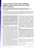 Cover page: Calcium-activated chloride channel TMEM16A modulates mucin secretion and airway smooth muscle contraction