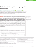 Cover page: Mechanical stretch regulates macropinocytosis in Hydra vulgaris