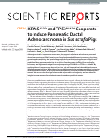 Cover page: KRASG12D and TP53R167H Cooperate to Induce Pancreatic Ductal Adenocarcinoma in Sus scrofa Pigs