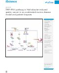 Cover page: TRIF-IFN-I pathway in Helicobacter-induced gastric cancer in an accelerated murine disease model and patient biopsies