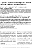 Cover page: A positive feedback between p53 and miR-34 miRNAs mediates tumor suppression