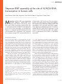 Cover page: Stepwise RNP assembly at the site of H/ACA RNA transcription in human cells