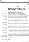 Cover page: Dysfunctional LAT2 Amino Acid Transporter Is Associated With Cataract in Mouse and Humans