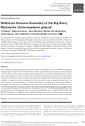 Cover page: Reference Genome Assembly of the Big Berry Manzanita (Arctostaphylos glauca)