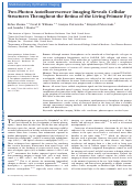 Cover page: Two-Photon Autofluorescence Imaging Reveals Cellular Structures Throughout the Retina of the Living Primate Eye.