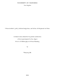 Cover page: Urban inclusive policy, internal migration, and urban development in China