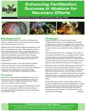 Cover page: Enhancing Fertilization Success in Abalone for Recovery Efforts