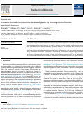 Cover page of A mesoscale model for interface-mediated plasticity: Investigation of ductile and brittle fracture